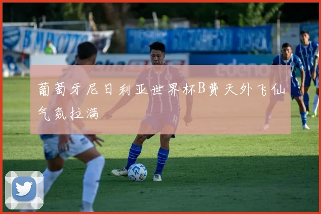 葡萄牙尼日利亚世界杯B费天外飞仙气氛拉满