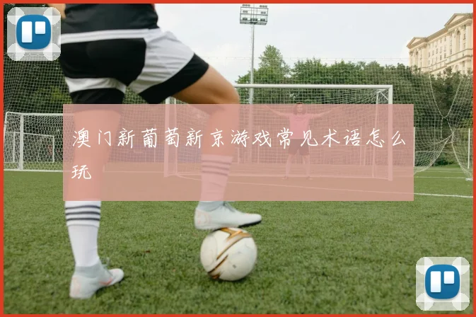 澳门新葡萄新京游戏常见术语怎么玩