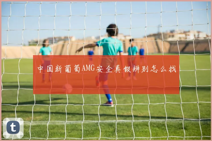 中国新葡萄AMG安全真假辨别怎么找