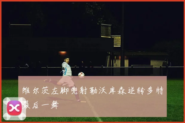 维尔茨左脚兜射勒沃库森逆转多特最后一舞