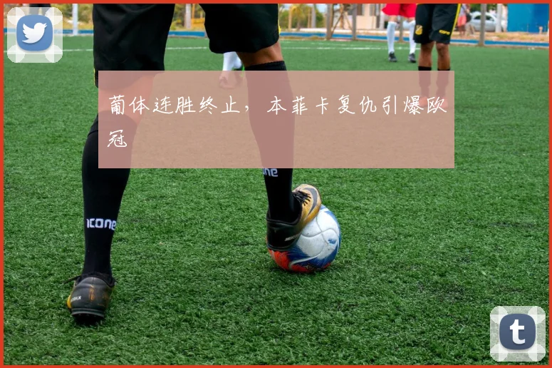 葡体连胜终止，本菲卡复仇引爆欧冠